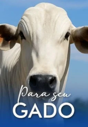 Produtos para Gado Bovino